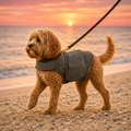 The Winter Walk Coat